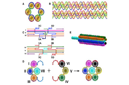 gallery-assembly-of-matter