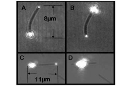 gallery-nanowires